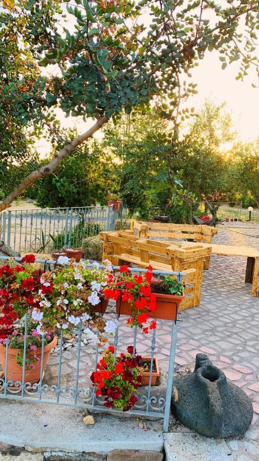 Agriturismo Da Lino Agripizza Villa Samugheo Bagian luar foto