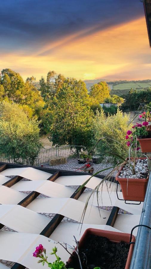 Agriturismo Da Lino Agripizza Villa Samugheo Bagian luar foto